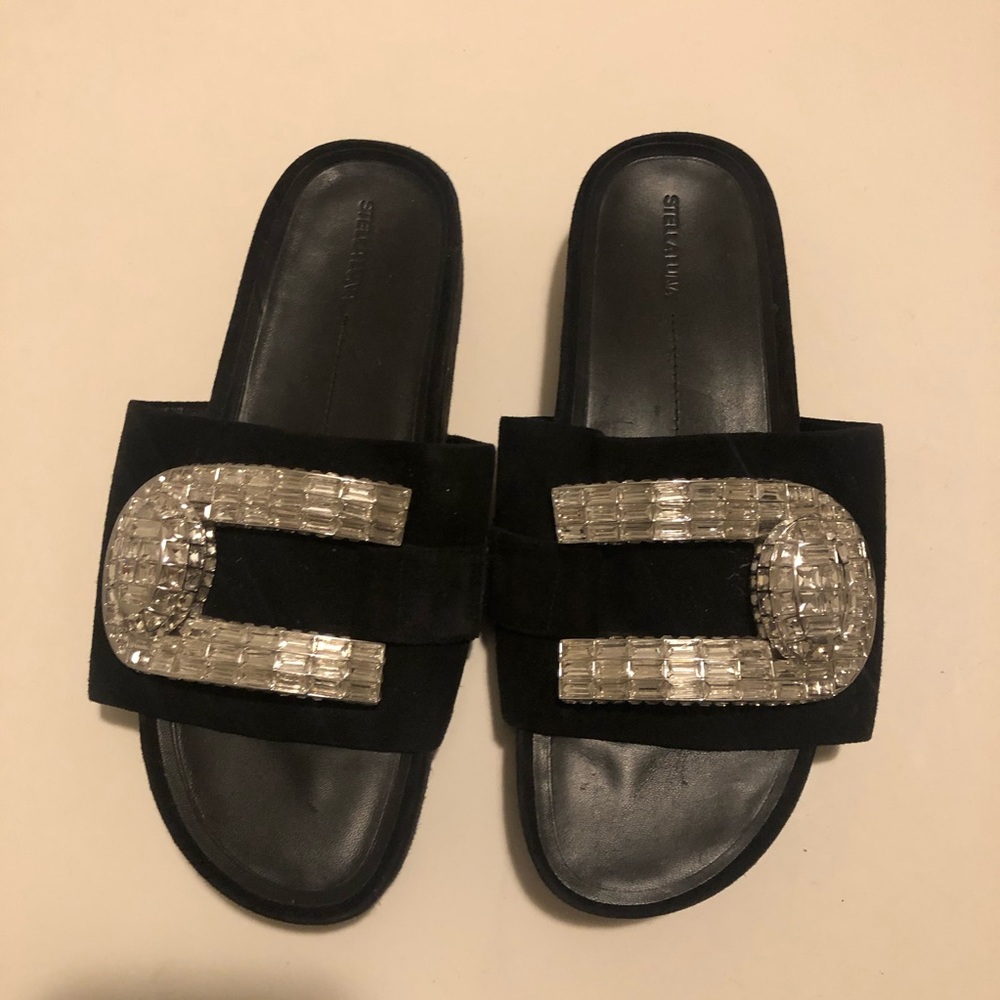 Stella Luna slides